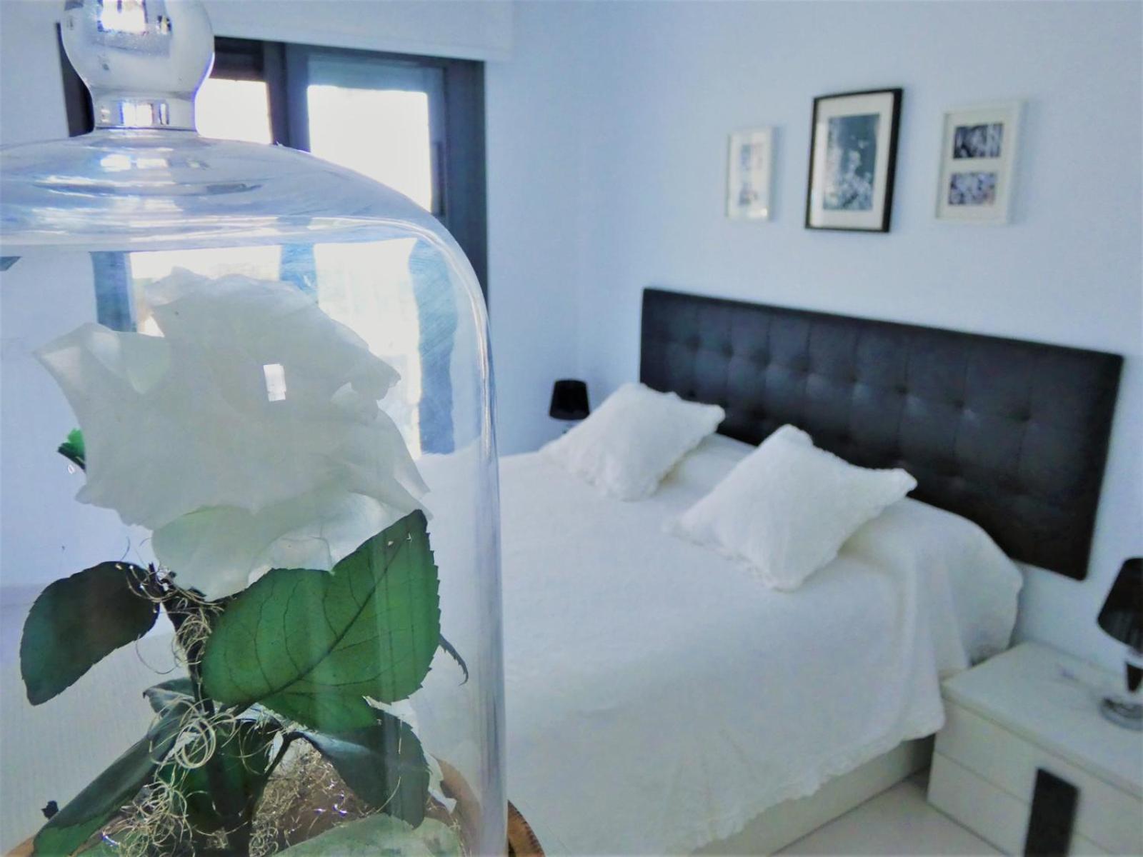 Ocean View Apartment Arenales del Sol Eksteriør billede